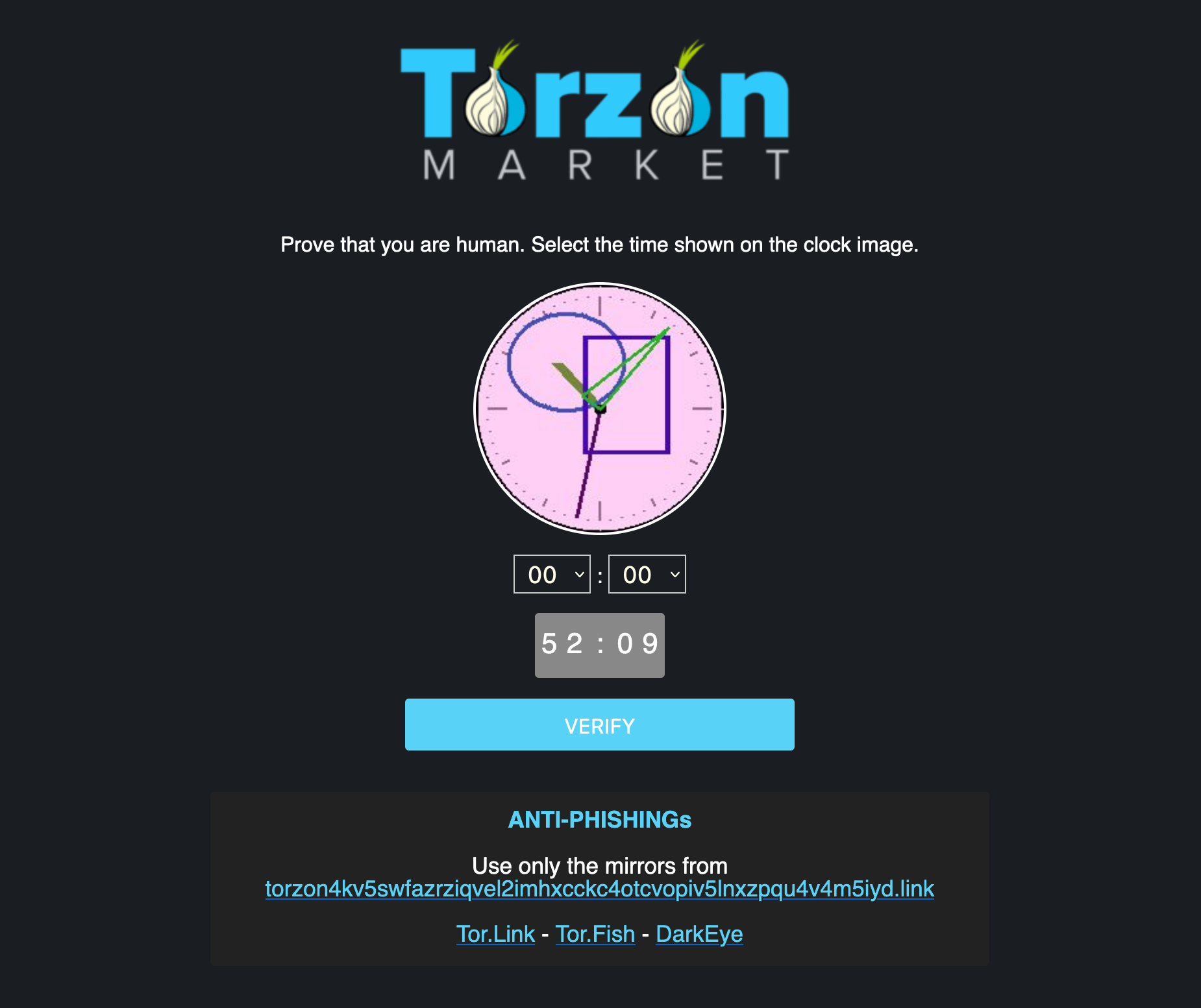 TorZon Darknet Onion Captcha